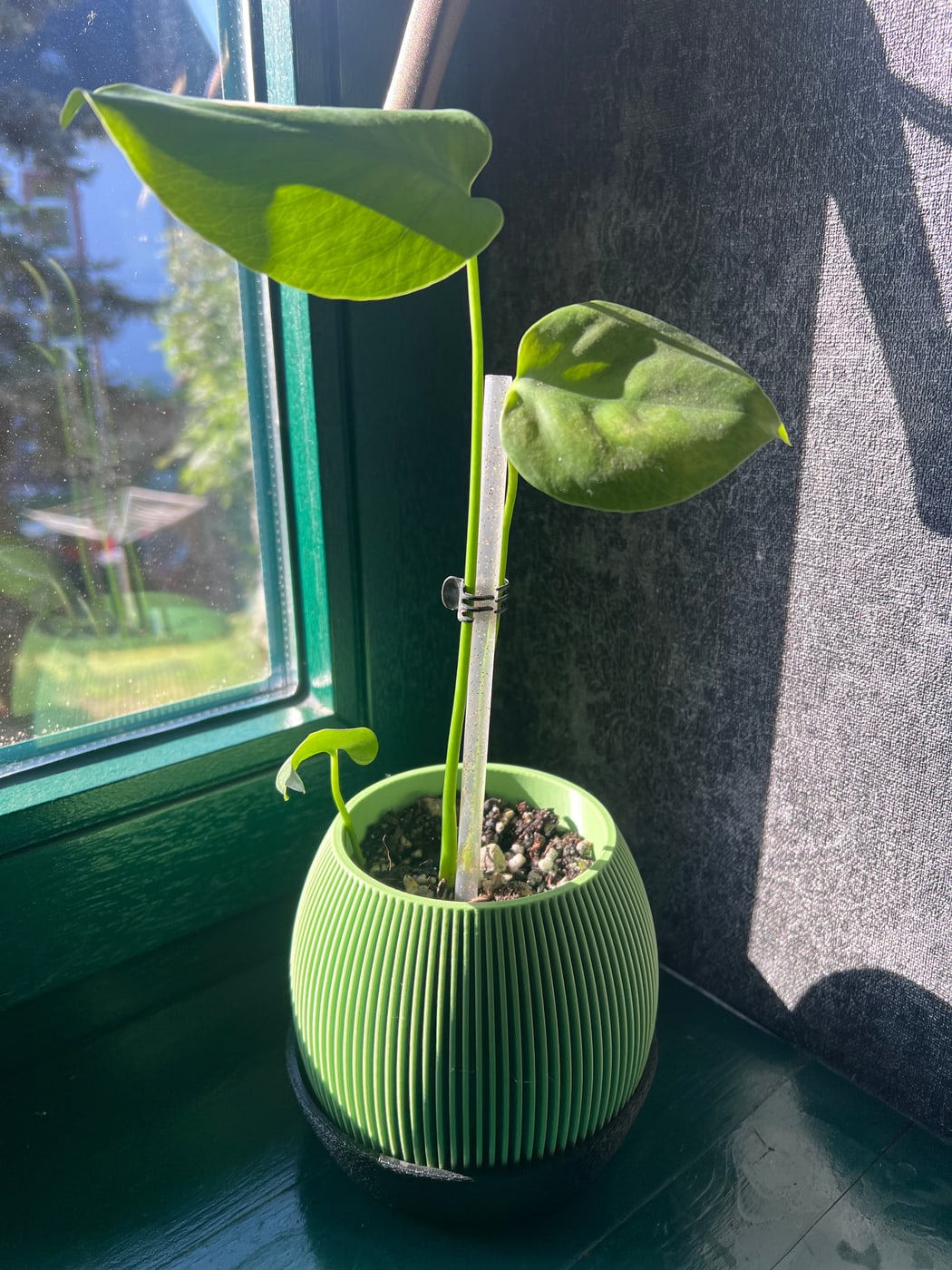 Japandi Pot Set, Ansicht 3 von 8