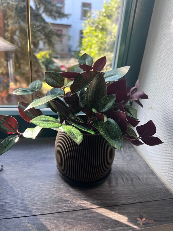 Japandi Pot Set, Ansicht 8 von 8 vergrößern